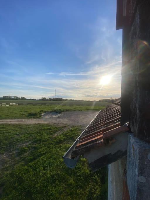 Villenouan Domaine Et Gites Lailly-en-Val Exteriér fotografie