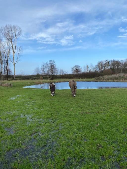 Villenouan Domaine Et Gites Lailly-en-Val Exteriér fotografie