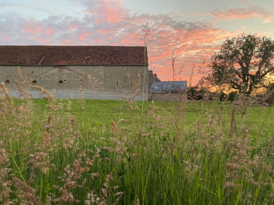 Villenouan Domaine Et Gites Lailly-en-Val Exteriér fotografie